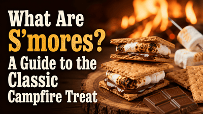 What Are S'mores? Classic Campfire Dessert Explained - Nishi Enterprise Inc