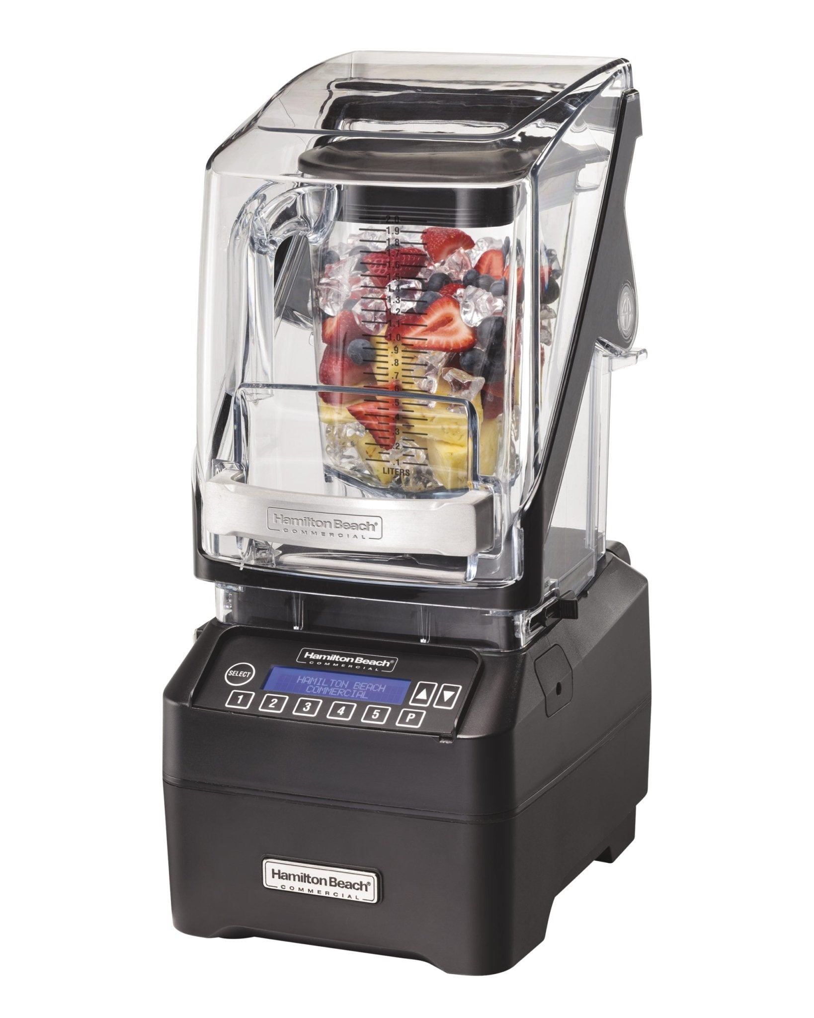 Commercial Blenders - Nishi Enterprise Inc