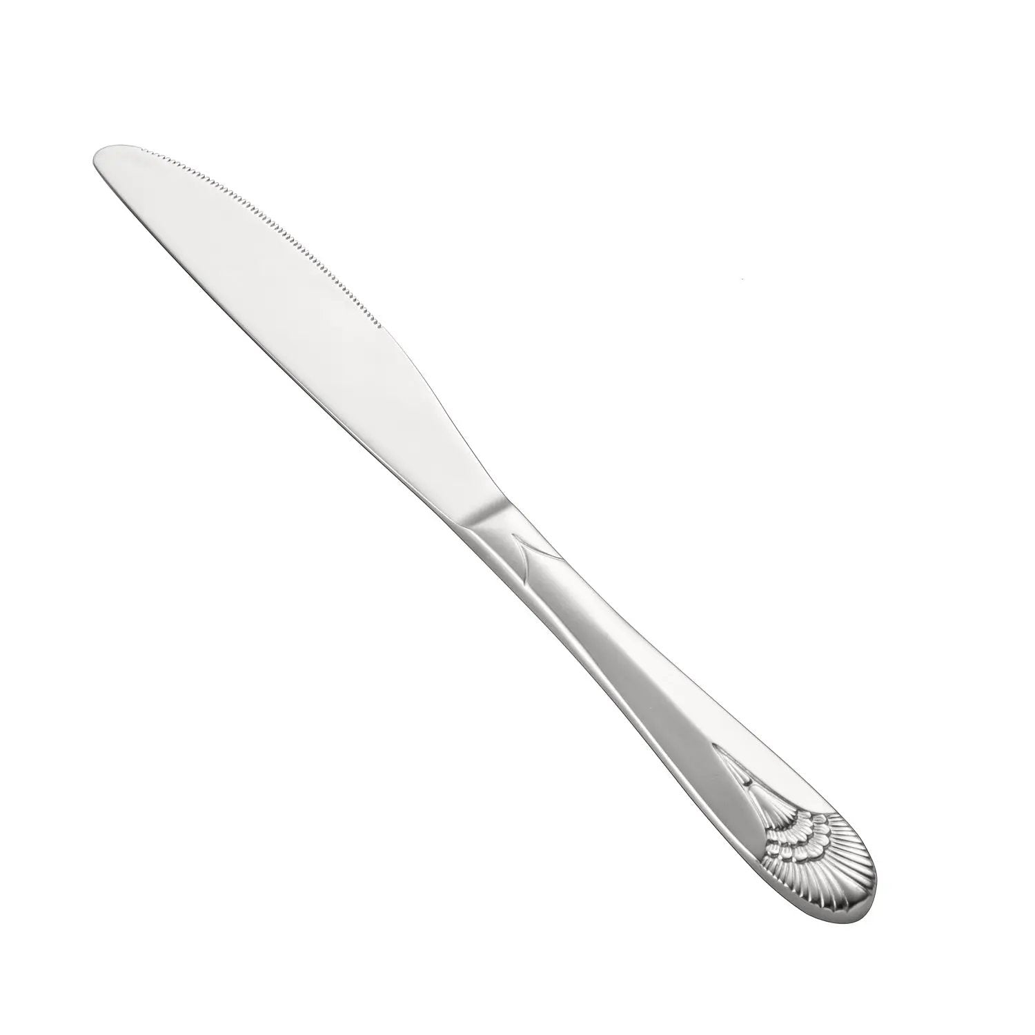 CAC China 8001-15 Royal Table Knife 18/8 Xtra. HW 9 5/8" Case Pack of 1/15 by CAC China (cac-china-8001-15-royal-table-knife-18-8-xtra-hw-9-5-8-case-pack-of-1-15)
