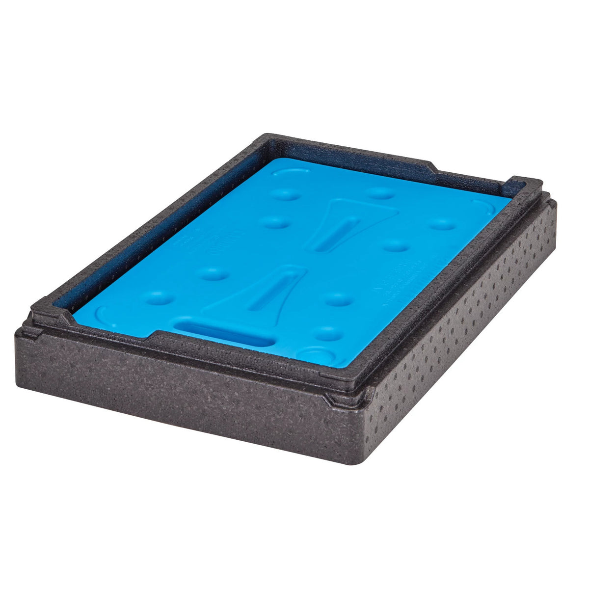 Cambro EPPCTSPKG110 Camchiller Insert & Chiller Package for Cam GoBox EPP180 & EPP160 - Black