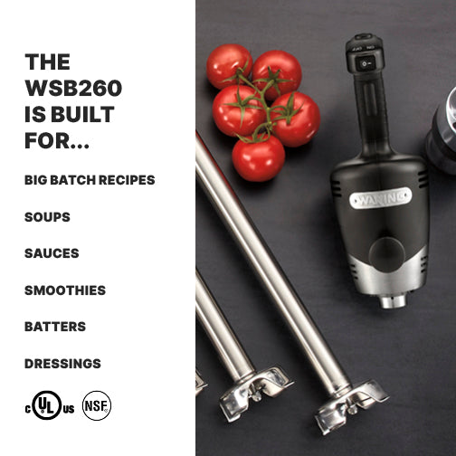 Waring WSB260 immersion blender
